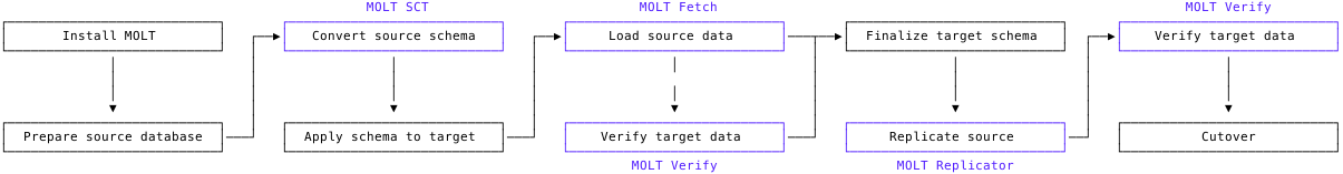 MOLT tooling overview