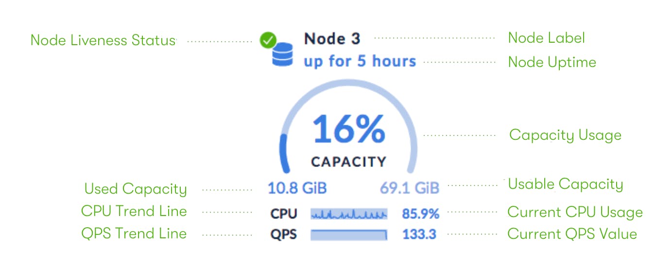 DB Console Summary Panel