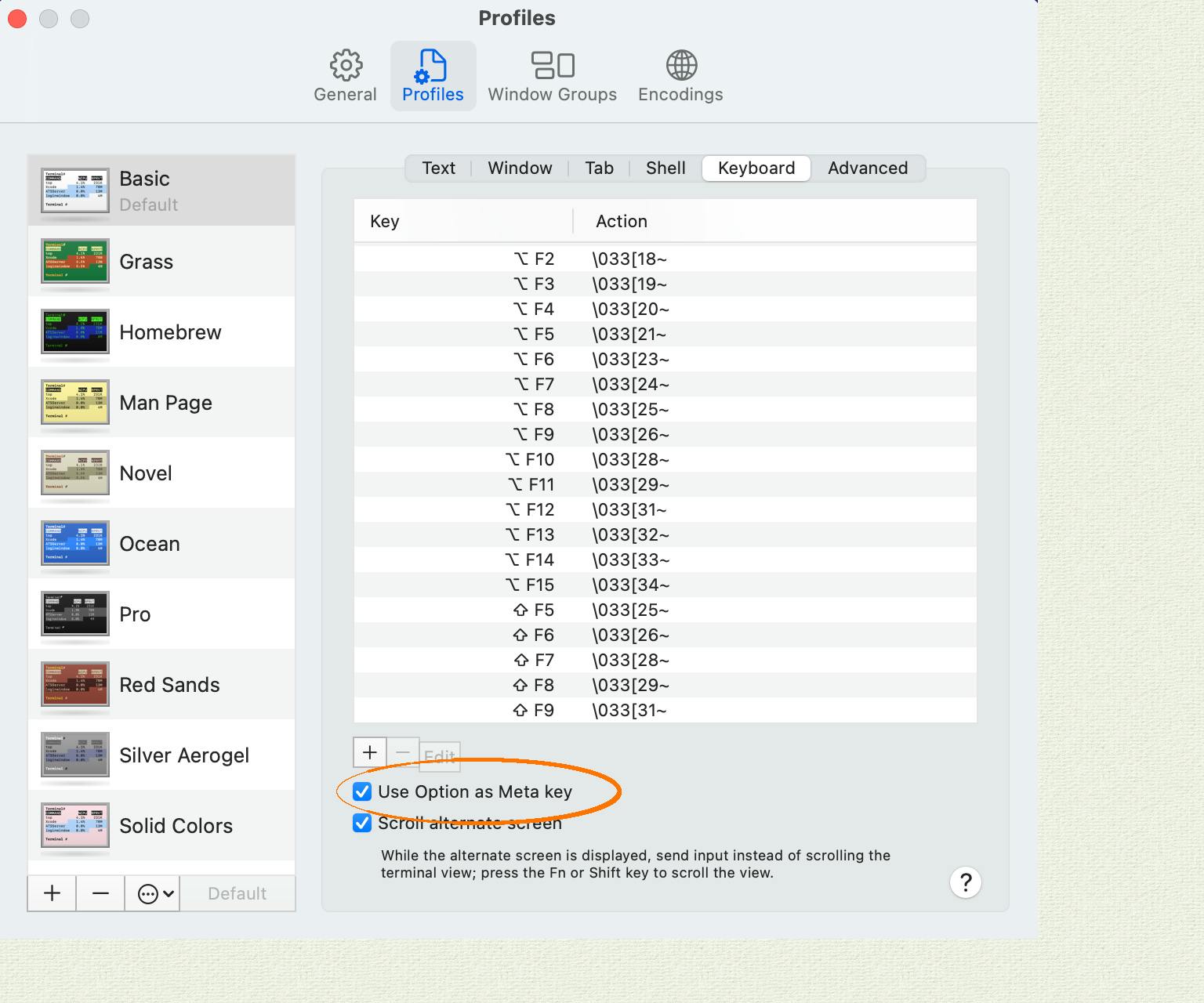 Apple Terminal Alt key configuration