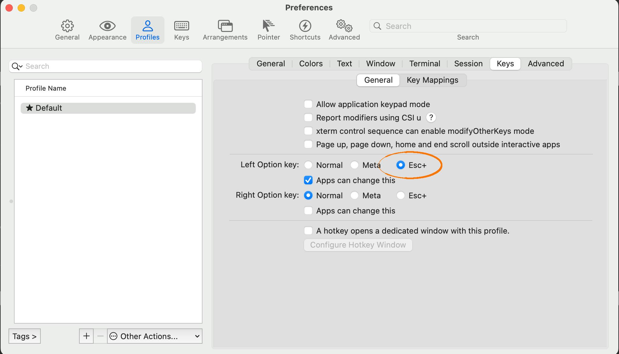 iTerm2 Alt key configuration