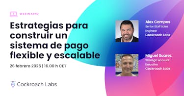 Featured Image for Estrategias para construir un sistema de pago flexible y escalable