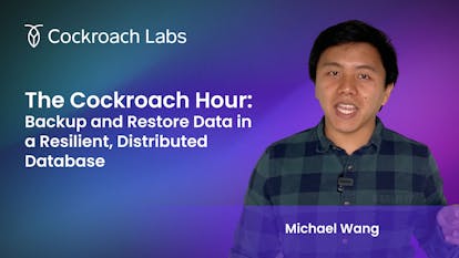 The Cockroach Hour: Backup Data & Restore Data in a Resilient, Distributed Database