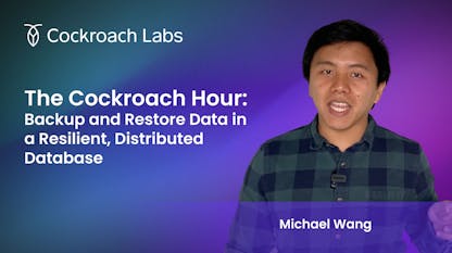 The Cockroach Hour: Backup Data & Restore Data in a Resilient, Distributed Database