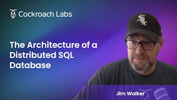 Featured Image for The Architecture of a Distributed SQL Database