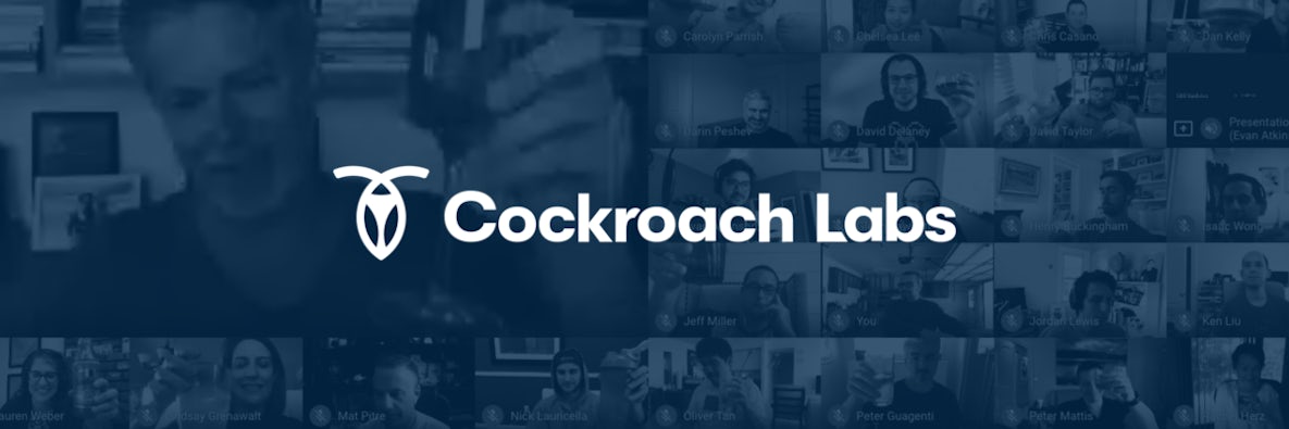 Cockroach Labs raises $87 million of new investment, capping a year of exceptional growth