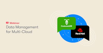 Data Management for Multi-Cloud