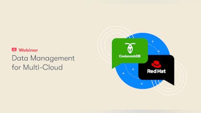 Data Management for Multi-Cloud